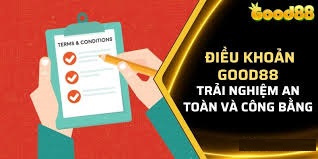 Những điều khoản và điều kiện dành cho người dùng